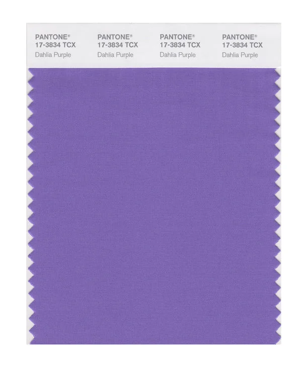 Dahlia Purple