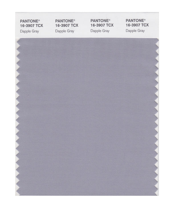 Dapple Gray