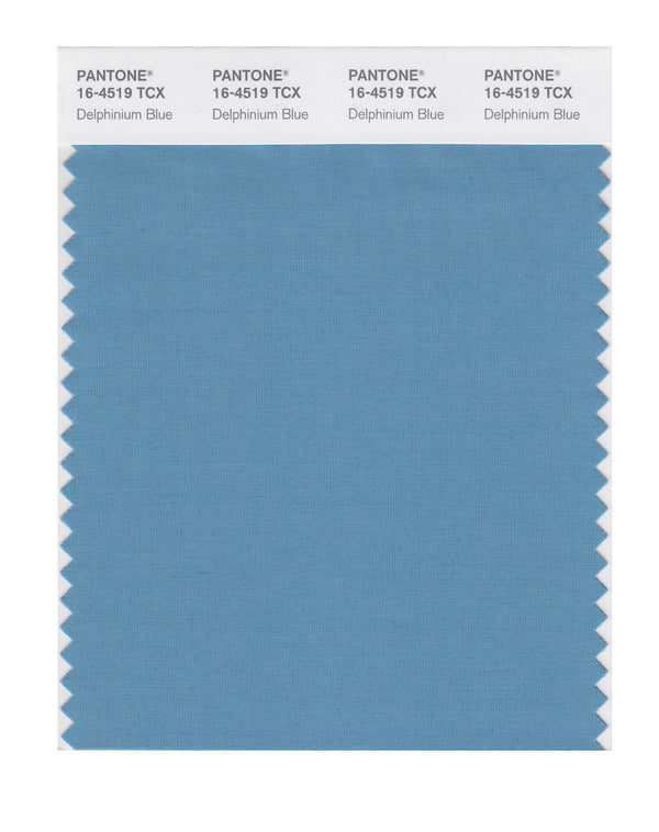 Delphinium Blue