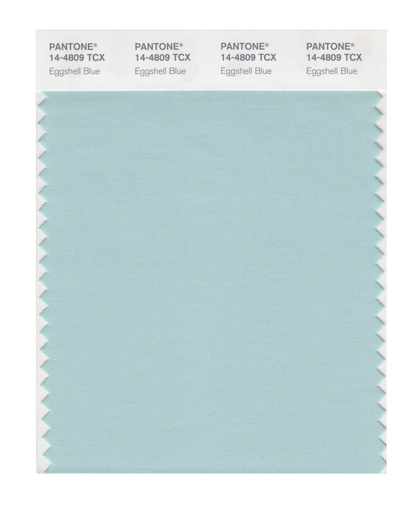 Eggshell Blue