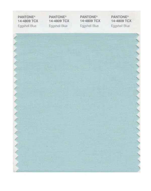 Eggshell Blue