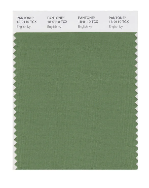 English Ivy