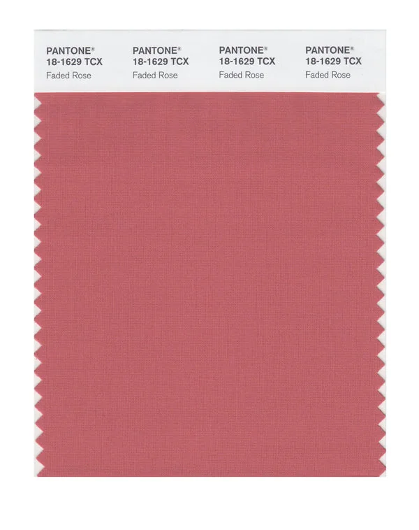 Faded Rose