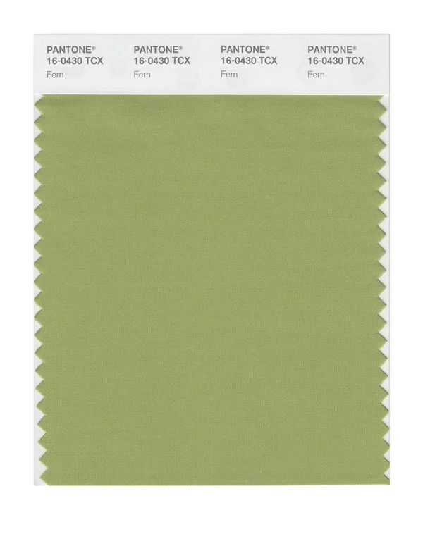 Fern