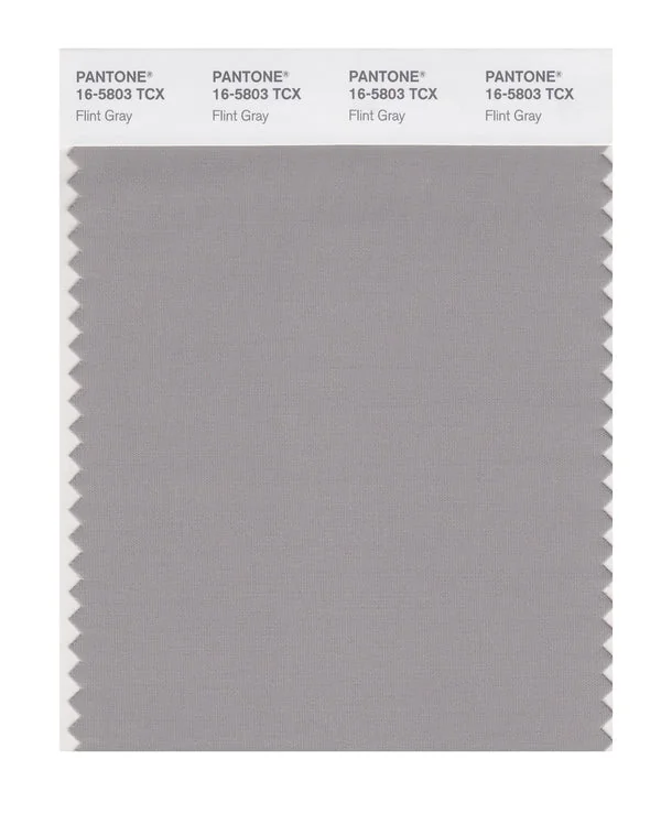 Flint Gray