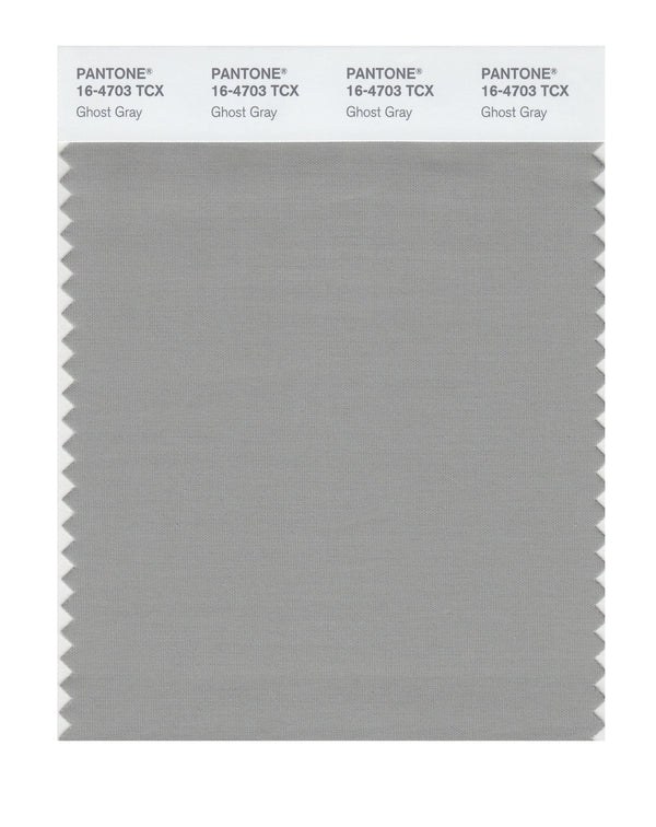 Ghost Gray