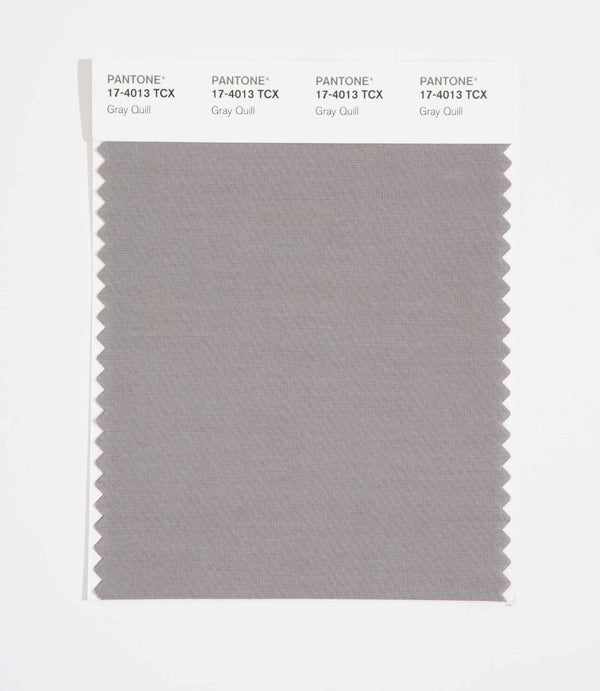 Gray Quill