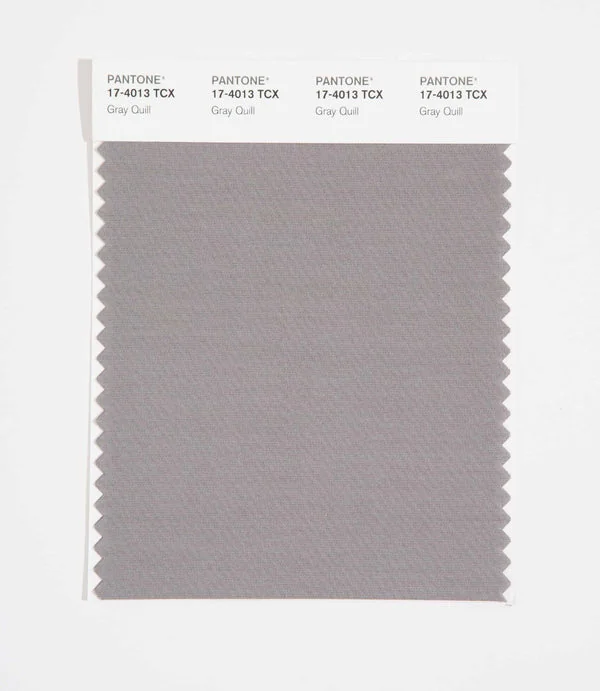 Gray Quill