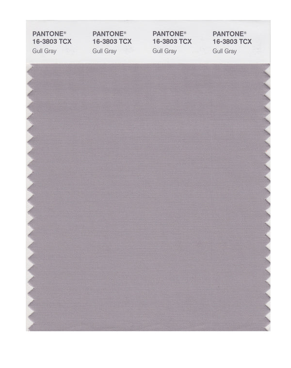 Gull Gray