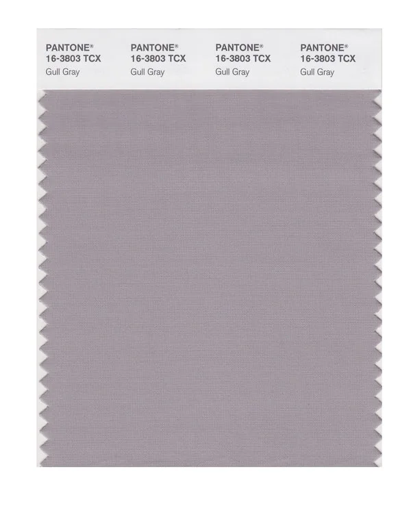 Gull Gray