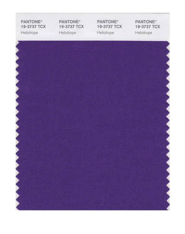 Heliotrope