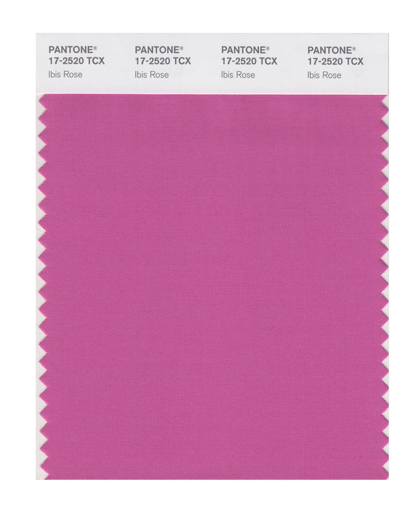 Ibis Rose