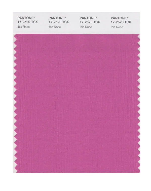 Ibis Rose