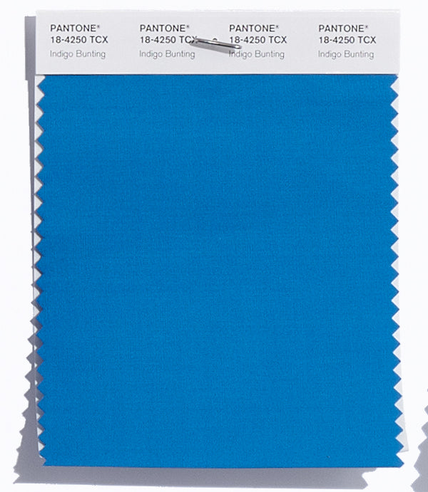 Indigo Bunting