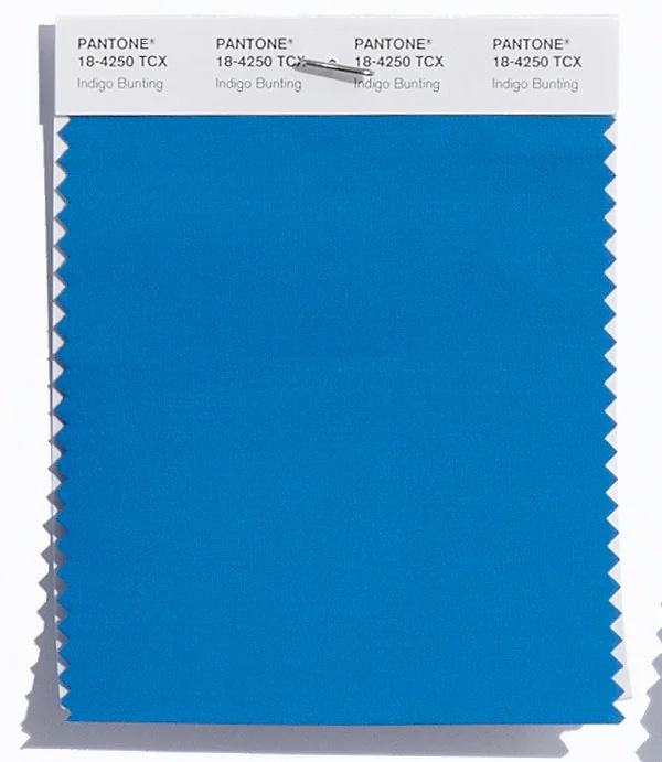 Indigo Bunting