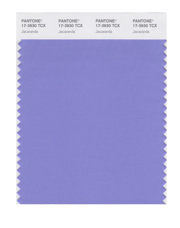 Jacaranda