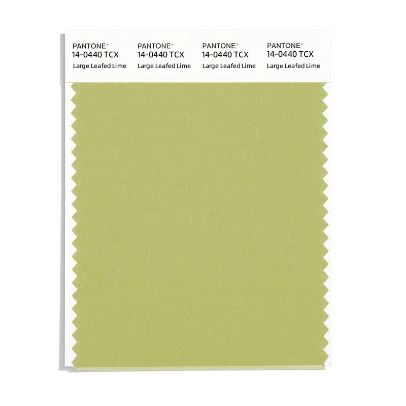 Large Leafed Lime