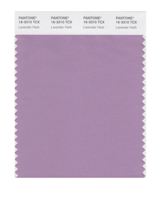 Lavender Herb