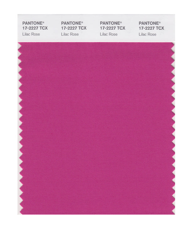 Lilac Rose