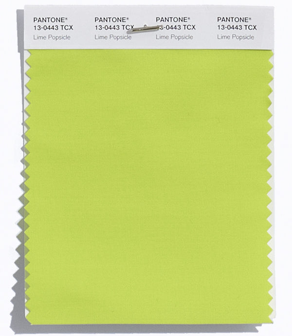 Lime Popsicle