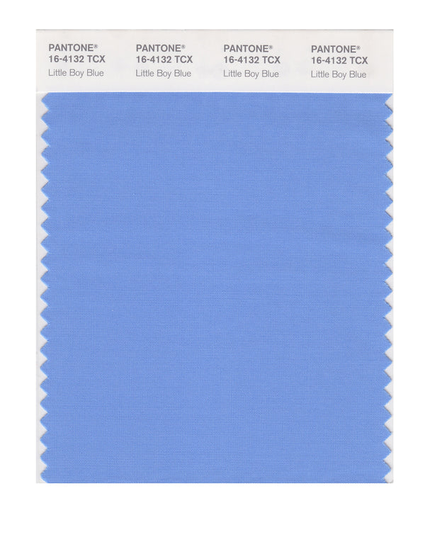 Little Boy Blue