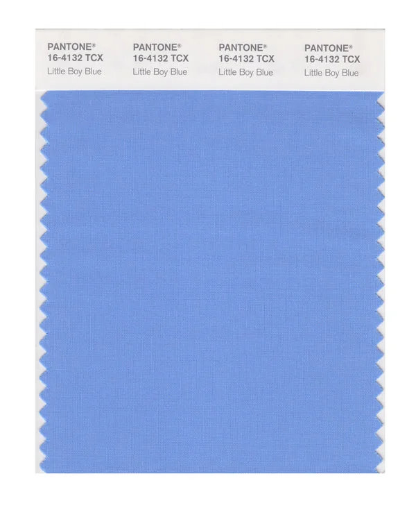 Little Boy Blue