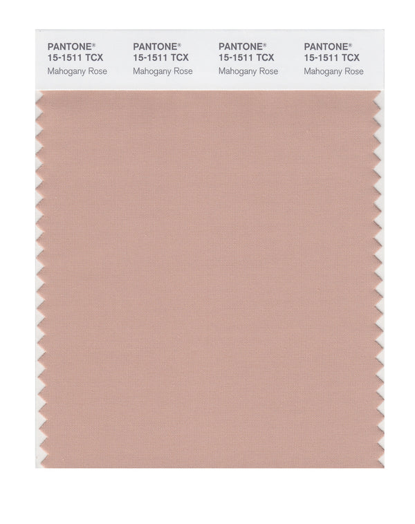 Mahogany Rose