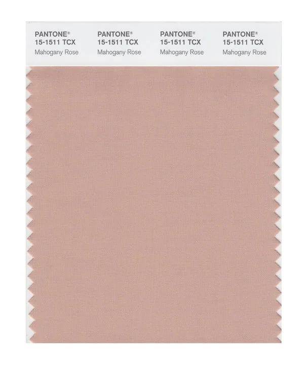 Mahogany Rose