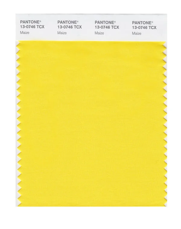 Maize