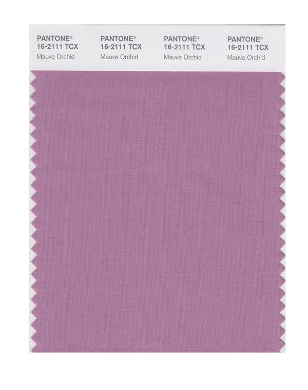 Mauve Orchid