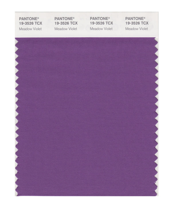 Meadow Violet