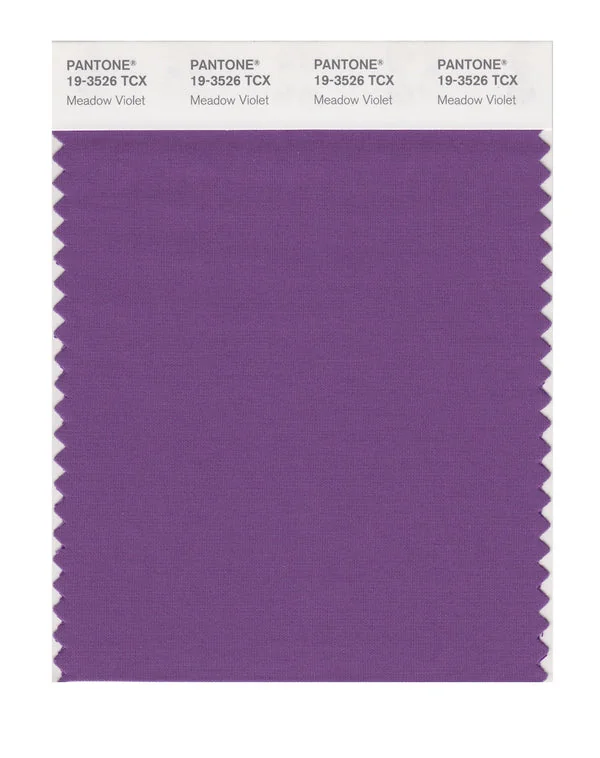 Meadow Violet