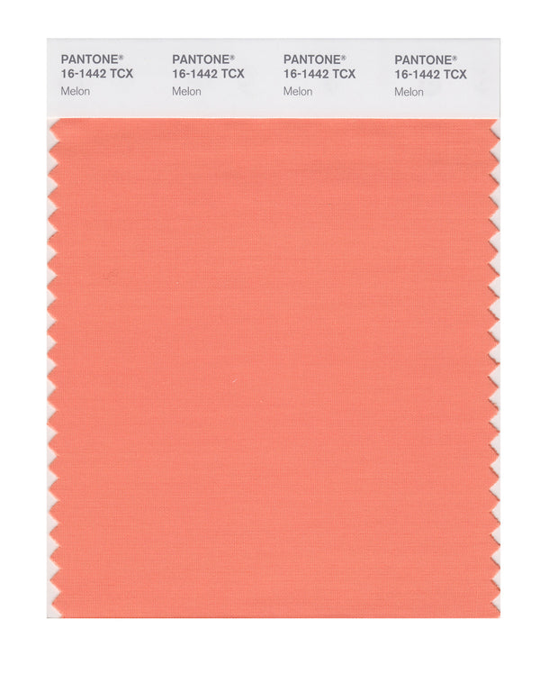 Melon