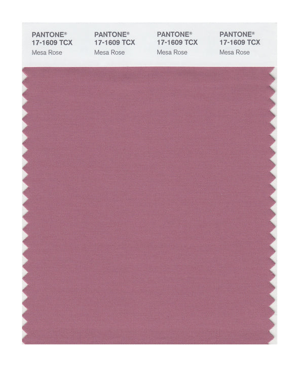 Mesa Rose