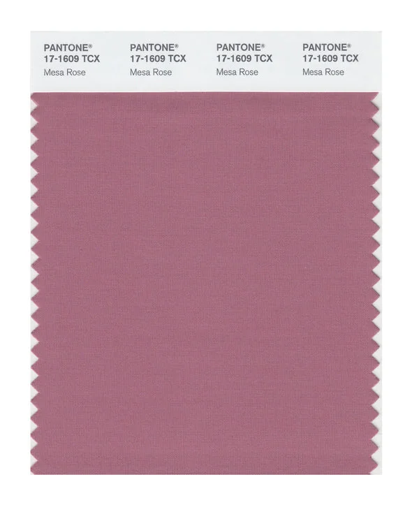 Mesa Rose