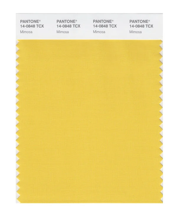 Mimosa