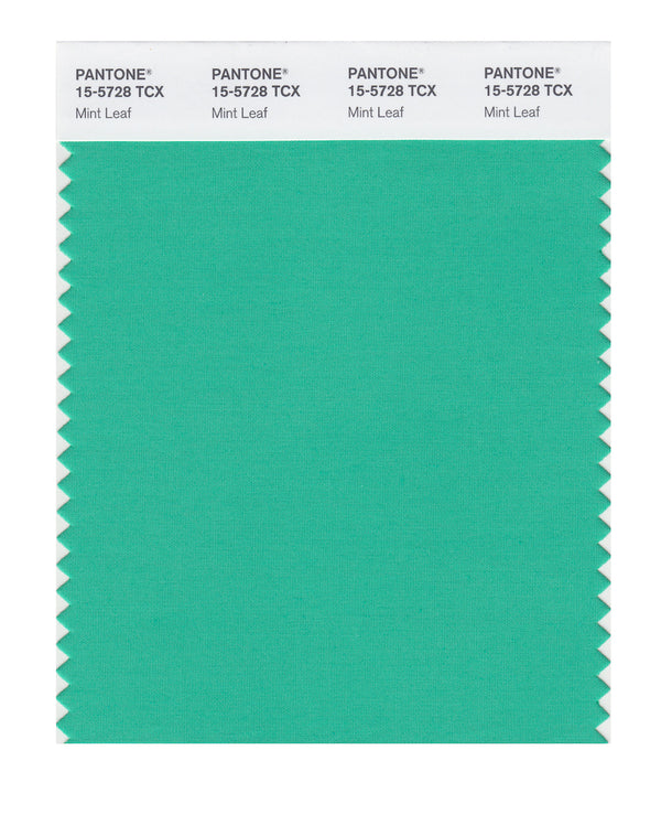 Mint Leaf