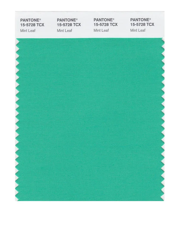 Mint Leaf