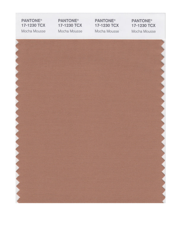 Mocha Mousse