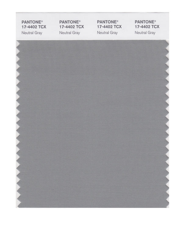 Neutral Gray
