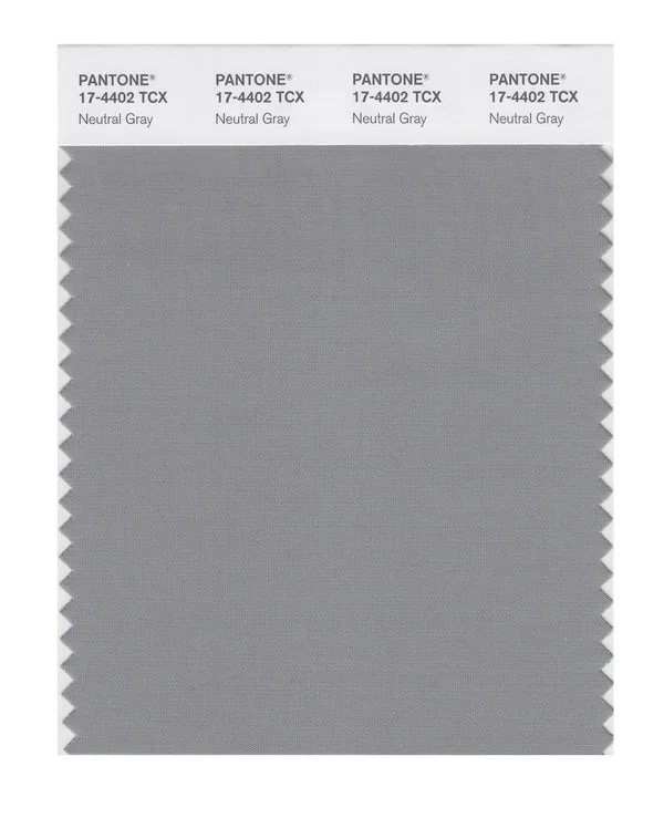 Neutral Gray