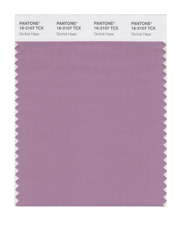 Orchid Haze