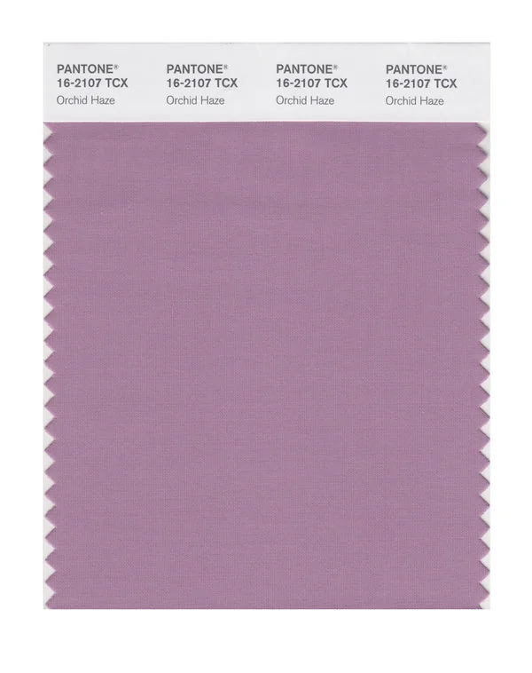Orchid Haze