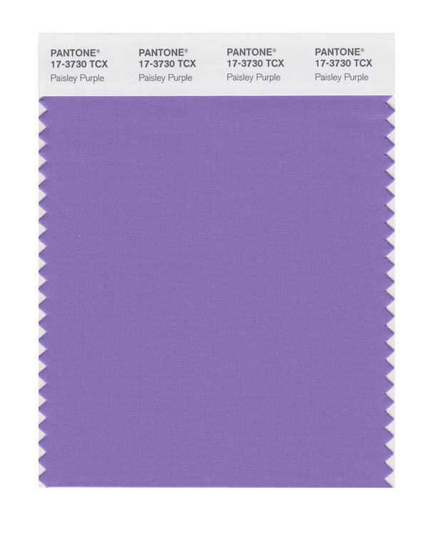 Paisley Purple