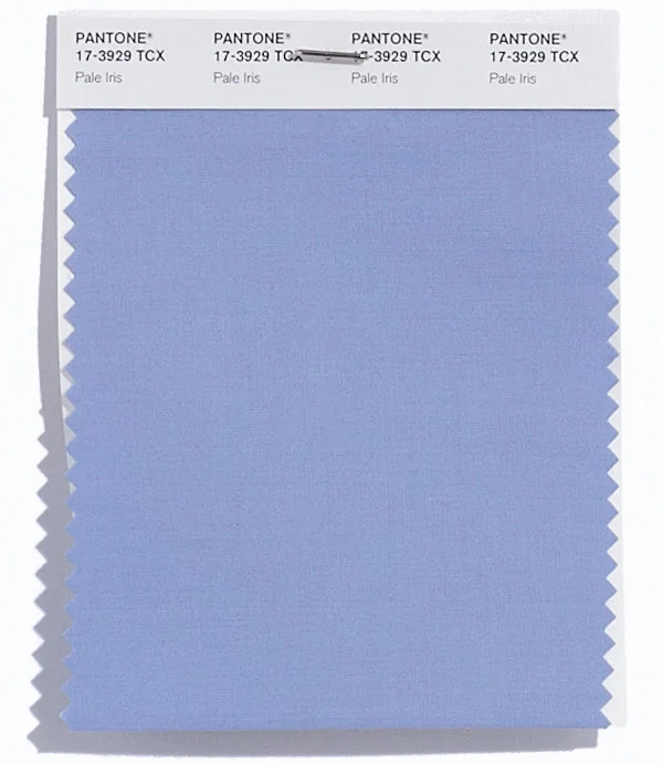 Pale Iris