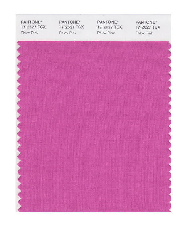 Phlox Pink