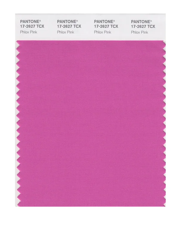 Phlox Pink