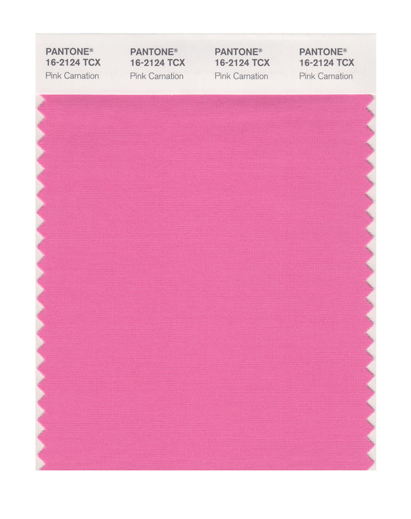 Pink Carnation