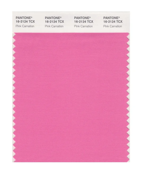 Pink Carnation