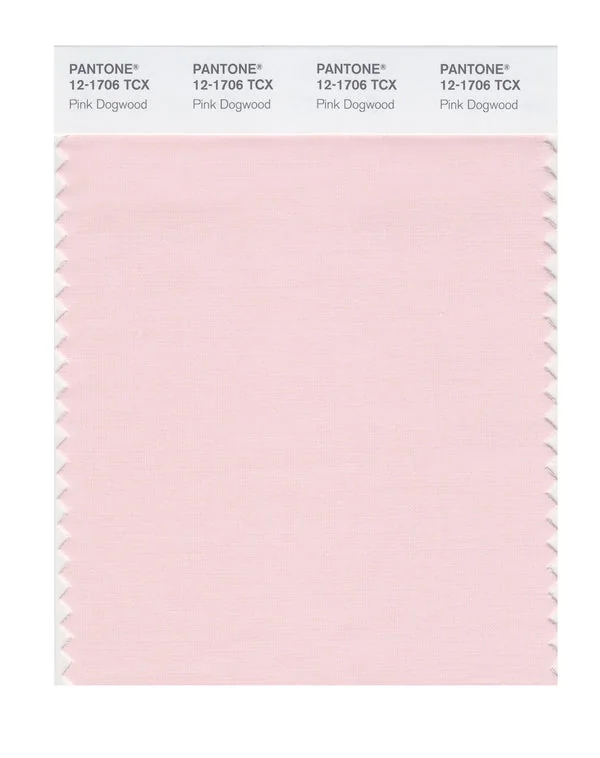 Pink Dogwood